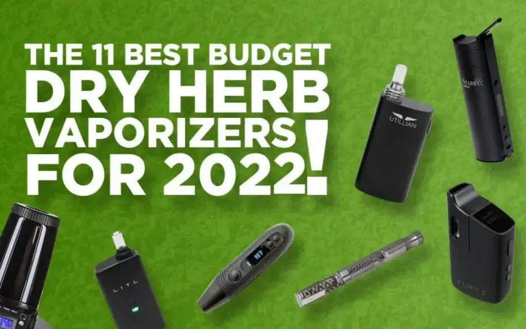 The-11-Best-Budget-Dry-Herb-Vaporizers-for-2022-