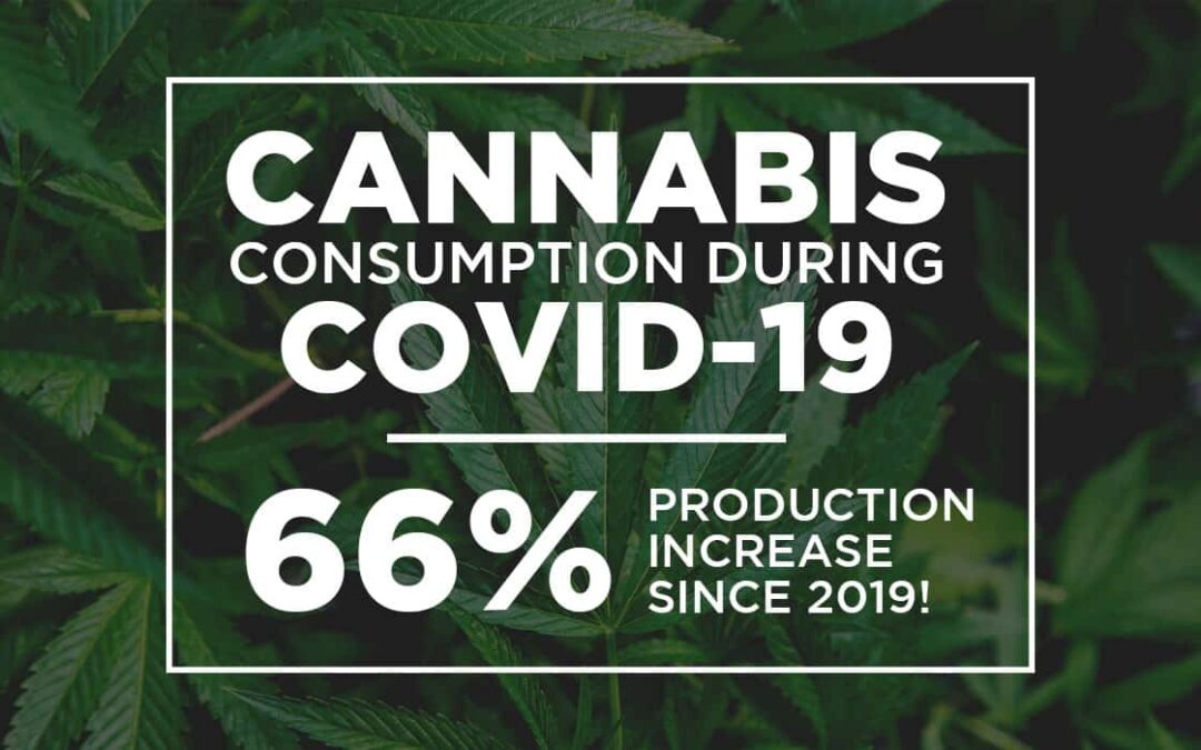 consumption during COVID