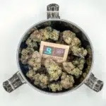 cvault container with boveda