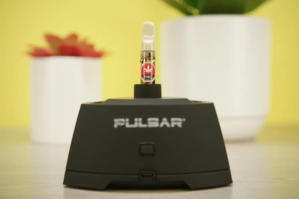 Pulsar Sipper Review - Image 4