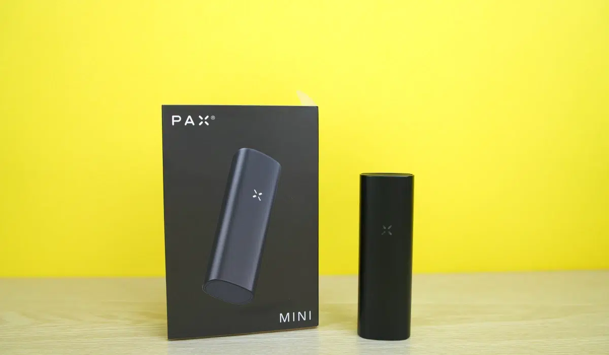 pax mini review