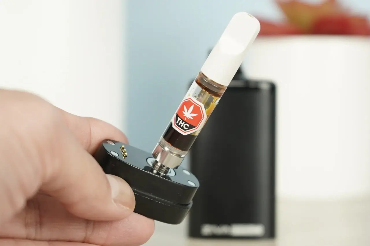 Yocan Ziva Pro Review - What No One Tells You